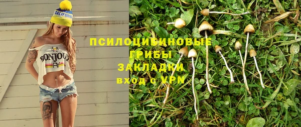 2c-b Абинск