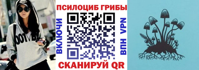 МЕГА маркетплейс  купить наркотик  Усть-Кут  Галлюциногенные грибы прущие грибы 